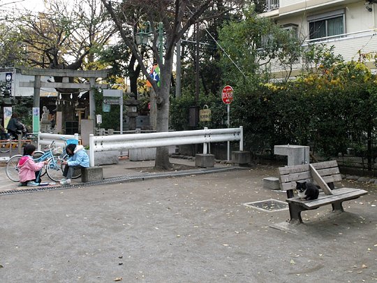 太田区のねこ