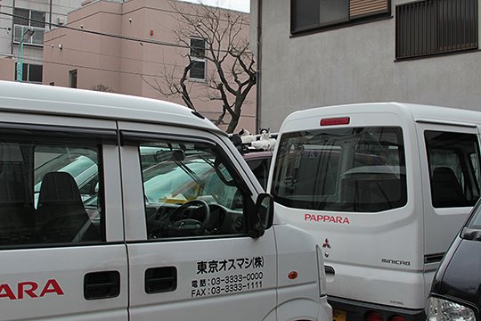 街のねこたち
