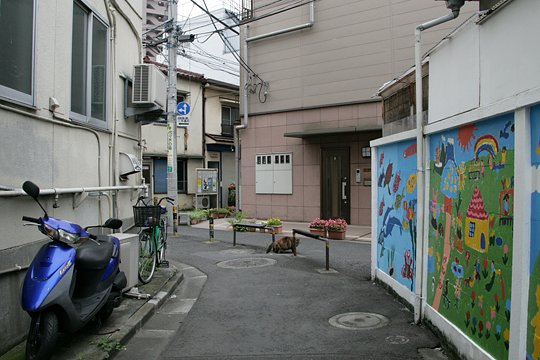 街のねこたち