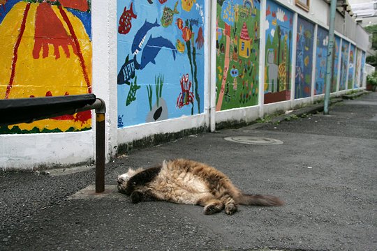 街のねこたち