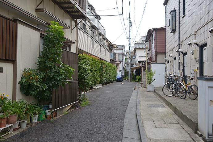 街のねこたち