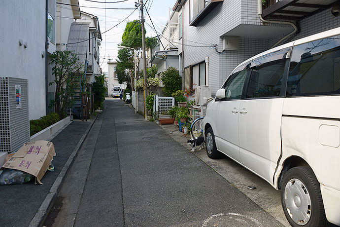 街のねこたち
