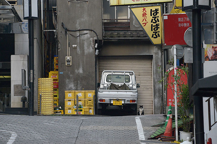 街のねこたち