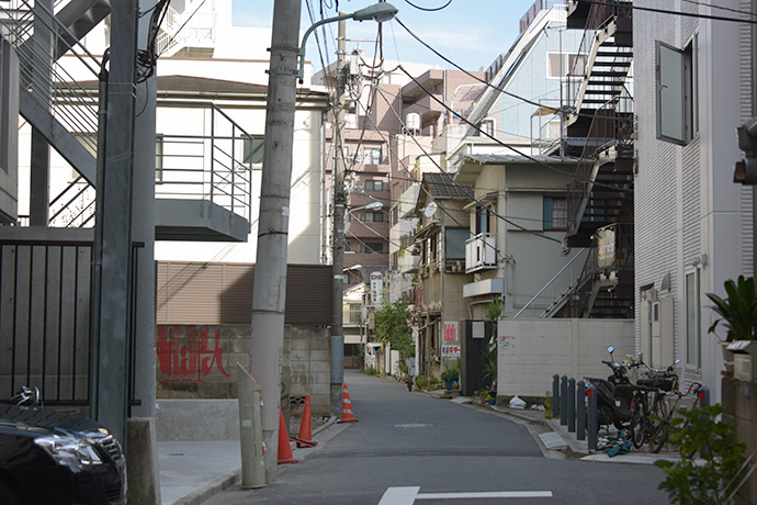 街のねこたち