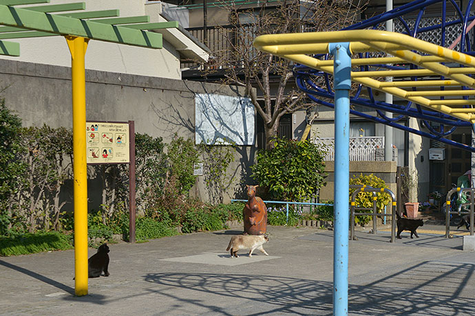 街のねこたち