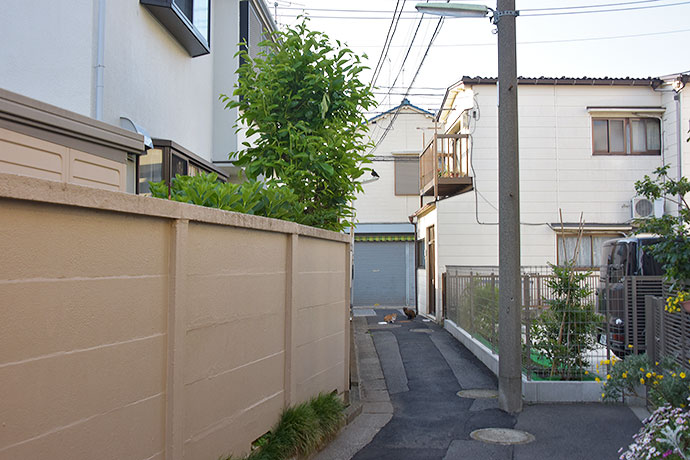 街のねこたち