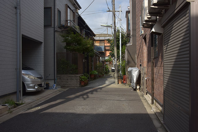 街のねこたち