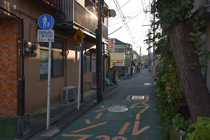 街のねこたち
