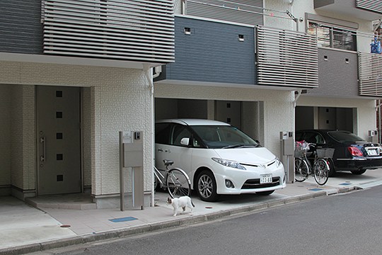 街のねこたち