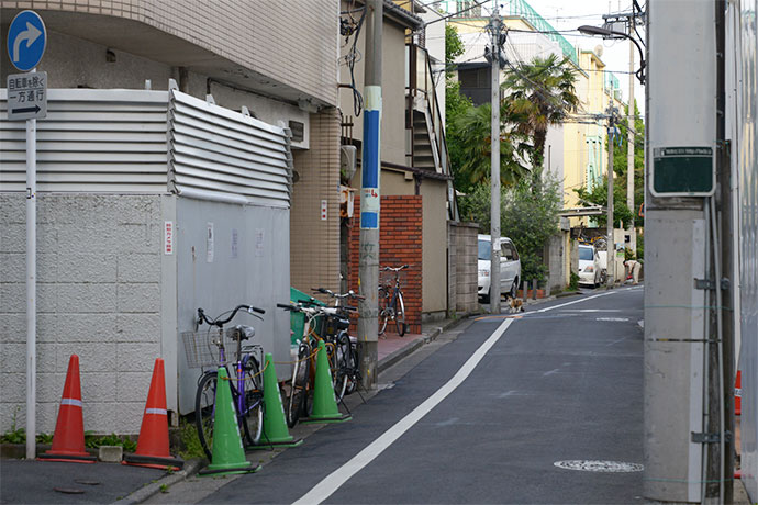 街のねこたち