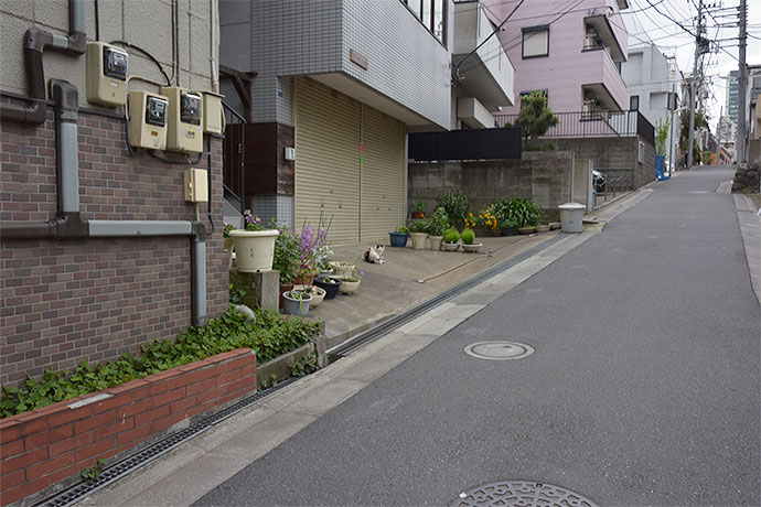 街のねこたち