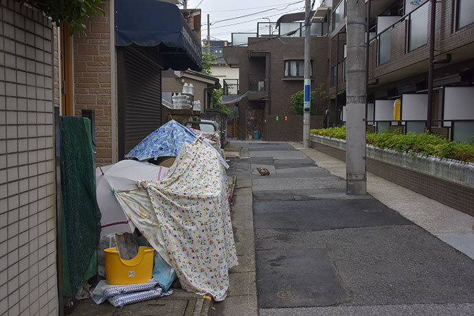 街のねこたち