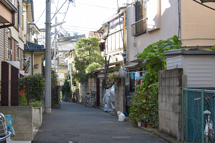 街のねこたち