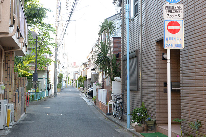 街のねこたち