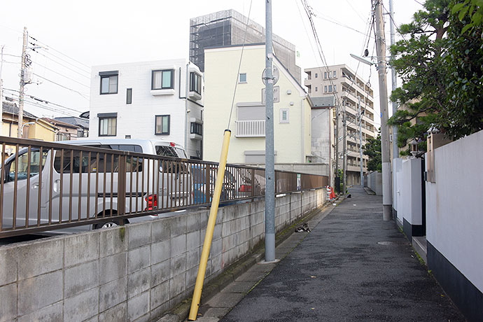 街のねこたち
