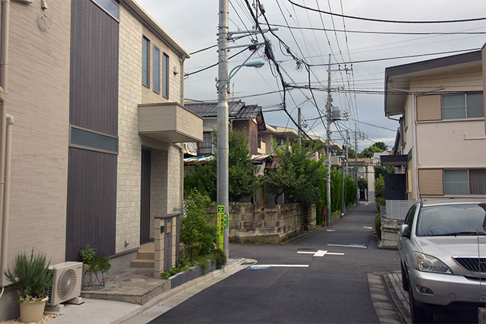 街のねこたち