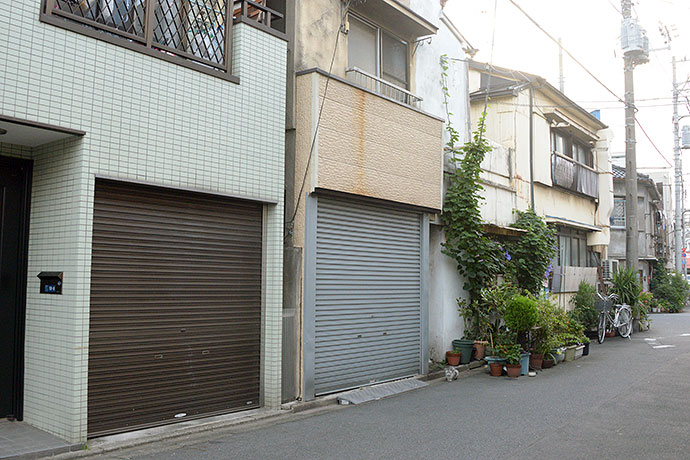 街のねこたち