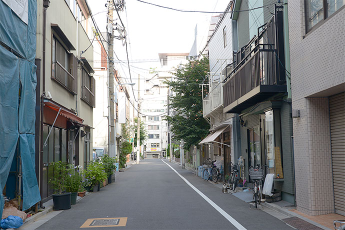街のねこたち