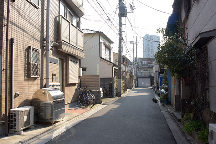 街のねこたち