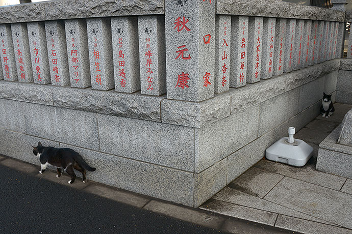 街のねこたち