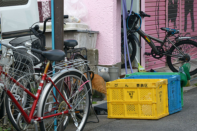 街のねこたち