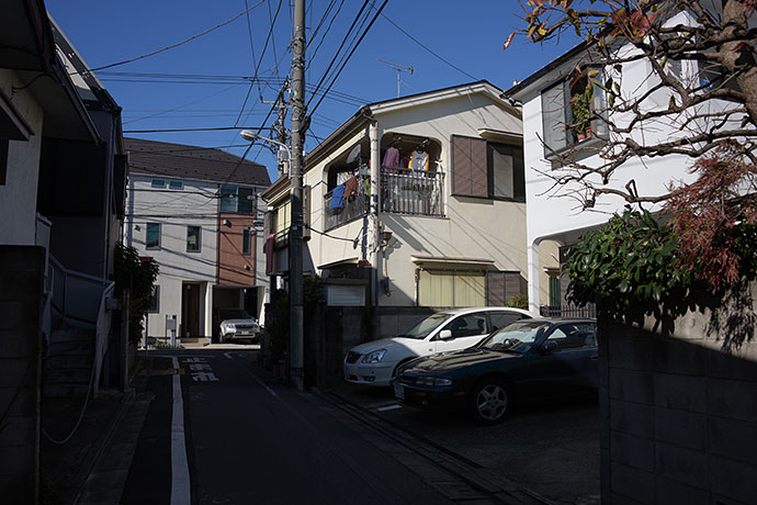 街のねこたち