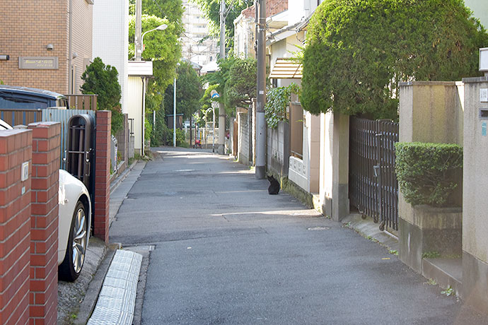 街のねこたち