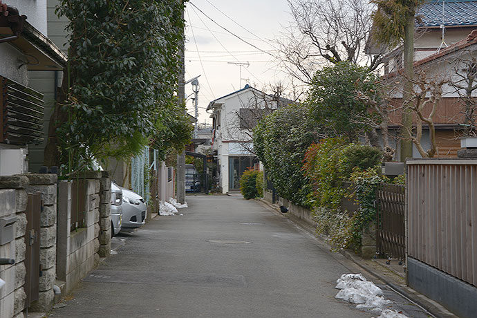 街のねこたち