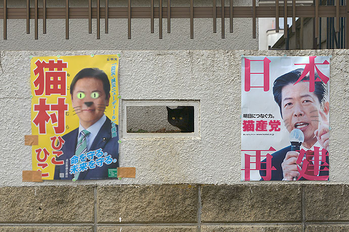 街のねこたち