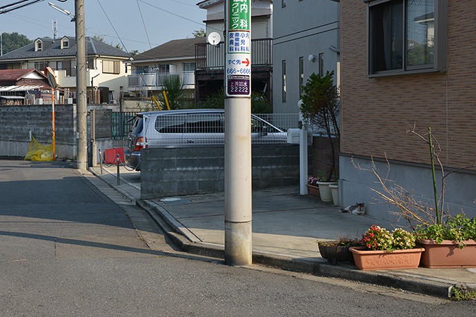 街のねこたち