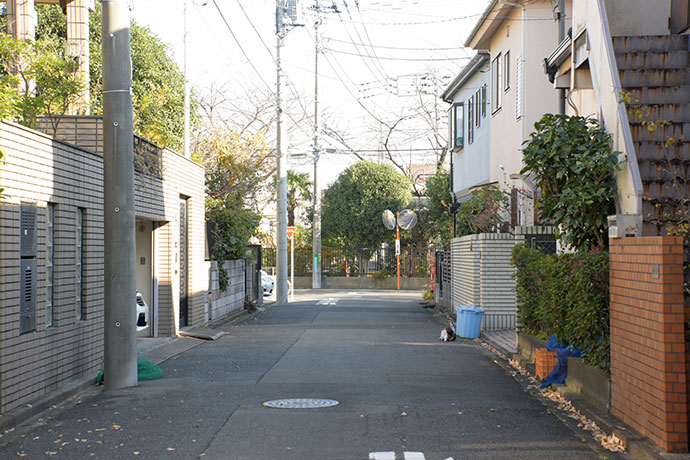 街のねこたち