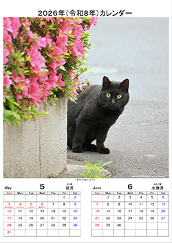 カレンダー5,6月