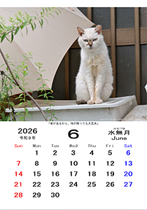 カレンダー６月