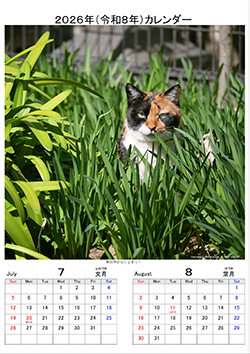 カレンダー7,8月
