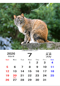 カレンダー７月