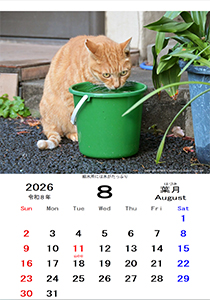 カレンダー８月