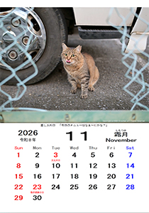 カレンダー１１月